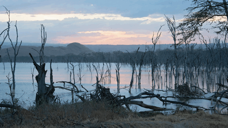 lake nakuru